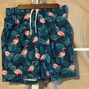 Men's Flamingo Swim Trunks